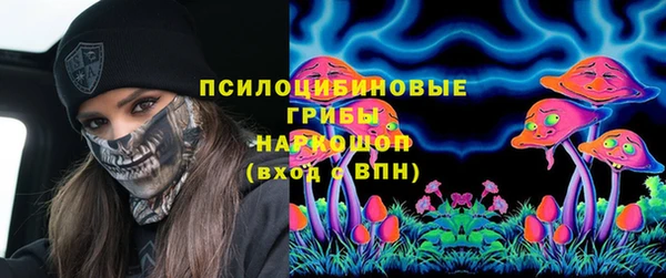 бутират Лагань