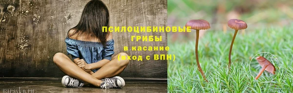стафф Сафоново
